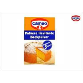 POLVERE LIEVITANTE CAMEO BUST.GR.16X5